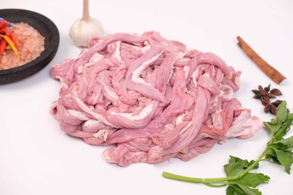 Usus Kecil