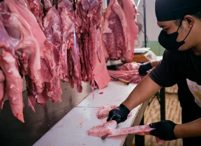 Cara Memilih Daging Babi Segar Agar Masakan Lebih Enak Panduan Lengkap