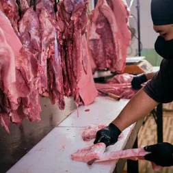 Cara Memilih Daging Babi Segar Agar Masakan Lebih Enak Panduan Lengkap