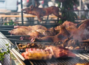 Jenis Olahan Babi di Berbagai Daerah di Indonesia Dari Bali Hingga Manado