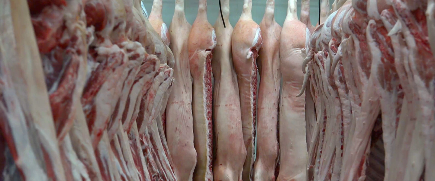 Slideshow Stok stabil  Quality Grading  Cold Chain Logistics  Kirim Seluruh Indonesia ~dl/2026/1/19/screenshot 1404 10 08 at 14 05 21